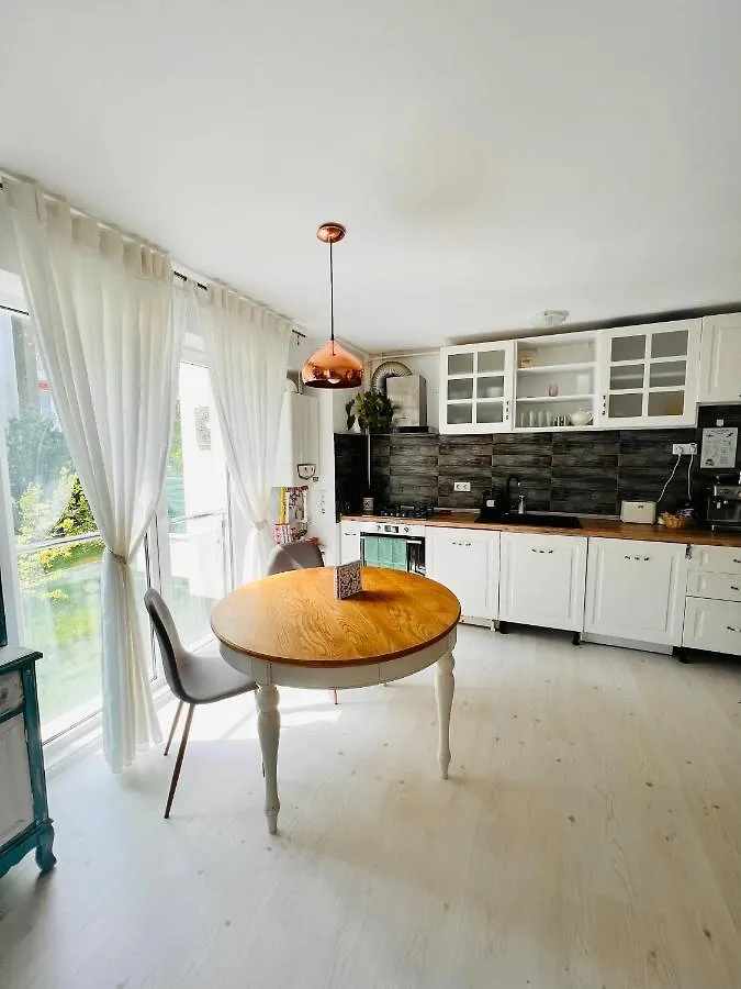 The Airport Loft Apartment Otopeni 0*,