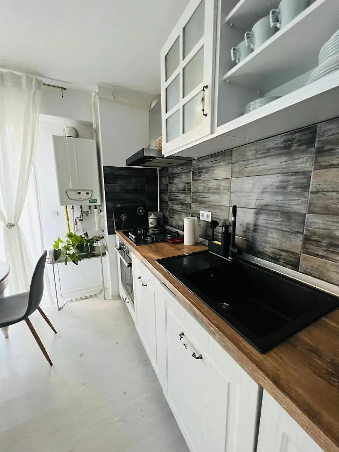 The Airport Loft Daire Otopeni