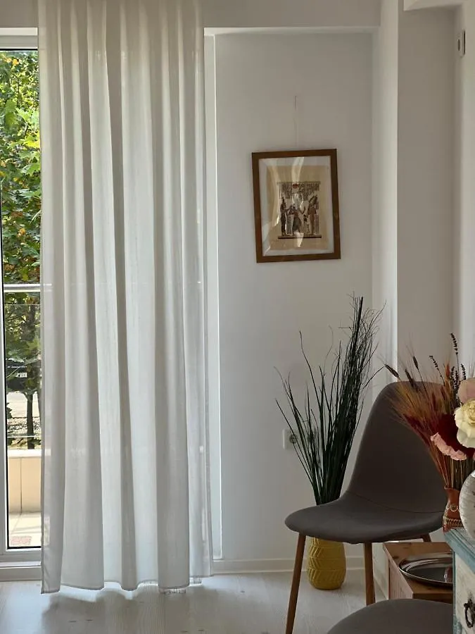 The Airport Loft Daire Otopeni Romanya
