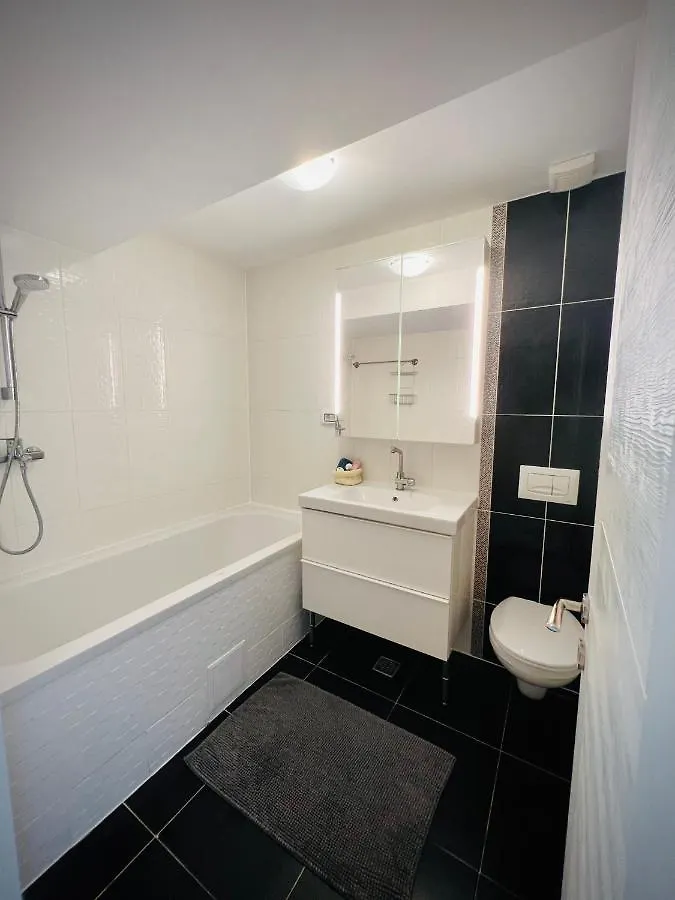 The Airport Loft Daire Otopeni 0*,